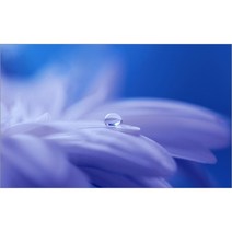 유브이디에스 아트보드 주방시트지 꽃과 물방울, 1개