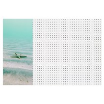 앤비커머스 인테리어 타공판 불가사리A 좌WHITE, 1개
