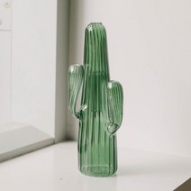 아스파시아 그린투명 선인장 화기