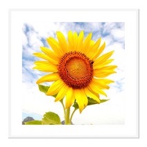 북유럽 캔버스액자 FLO0020 CA 정사각형, 메탈화이트