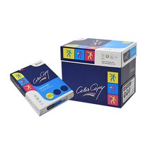 몬디 컬러카피 칼라레이저 전용 복사용지 160g 5p, A3, 1250개