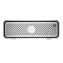 지테크놀로지 Thunderbolt 3 외장하드 AP, 4096GB, Silver