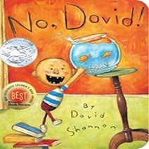 No David! : BOARDBOOK, Blue Sky Press (AZ)