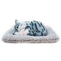 어바인클래스 잠자는 뭉뭉이와냥냥이 제습인형 브리티쉬숏, 1개
