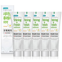 이밸런스 샤이닝후레쉬 구취제거 치약, 200g, 5개입