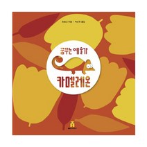 꿈꾸는 예술가 카멜레온, 보림