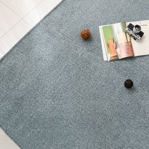 아포아룸 알렉스 러그