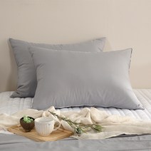 린튼 M2 기능성 알러지케어 베개 커버 2p + 다운필 베개 솜 2p 세트, 실버그레이