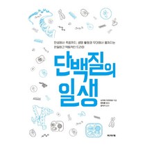 단백질의 일생, 파피에