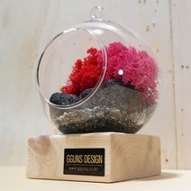 껀스 mos70 유리볼 스칸디아모스 꾸미기 세트 레드 12cm, 1세트