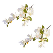 블럭마트 조화 11송이 목련꽃 2p, 샴페인