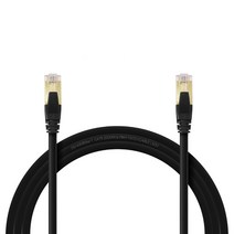 인터넷선 기가 랜케이블 CAT.8 SFTP 40Gbps 0.5m, 블랙, 1개