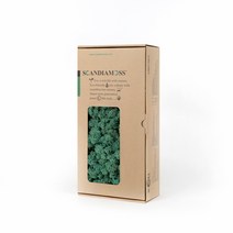 스칸디아모스 이끼 RM500 퍼시픽그린 500g, 1개