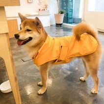 리얼펫 반려동물 심플 레인코트 겸용 바람막이 자켓, YELLOW