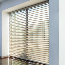 더지유 피카소1 3D 쉐이드 블라인드