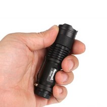 레이맨 RM104 UV랜턴 LED 자외선램프 365nm, 블랙, 1개