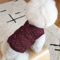 바이담수미 강아지 할매 조끼, 와인