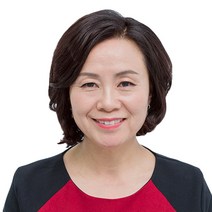 가발나라 여성용 멀티섹션V 형상기억인모 헤어뽕 기본형, 내츄럴다크브라운, 1개