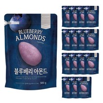 리치팜너트 블루베리아몬드, 300g, 16개