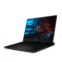 MSI 게이밍노트북 GP66 레오파드 11UG QHD NVMe 39.6cm, 블랙, 코어i7 11세대, 512GB, 8GB, Free DOS, MS-154