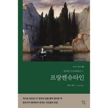 [살림]프랑켄슈타인 (큰글자), 살림