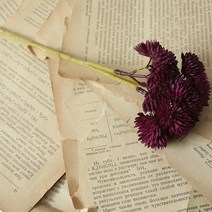 루비코코 조화 인테리어 퐁퐁국화 산소 성묘 꽃 셀프 웨딩 부케 인테리어 장식 소품 2p, 와인