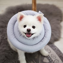 카카몽 반려동물 UFO 쿠션 넥카라 모노그레이 M, 1개