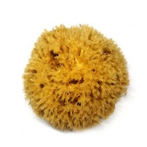 산토리스 해면 허니컴 대, 1개