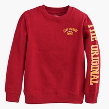 리바이스키즈 아동용 슬리브레터링로고풀오버 V211SW122P