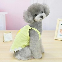 MING 반려동물 촘촘병아리 플라워 레이스 티셔츠, 옐로우