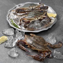 백미리에서 선별한 서해안 산지직송 암꽃게, 1kg (3~5미), 1박스