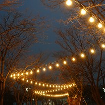 맥아트 LED 스트링 라이트 전등선 15m 15소켓 + 인치구 3W 주광색 15p, 블랙(전선)