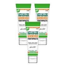 테라브레스 프레시브레스 마일드민트향 구취 케어 치약, 150g, 3개