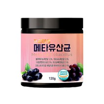 맛있는동행 프리미엄 메타유산균, 120g, 1개