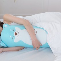 뭉찌 매쉬 바디필로우 커버, 블루