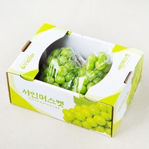 푸드베이스 산지직송 샤인머스켓, 1.5kg, 1개