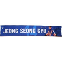삼성화재 플레이어 머플러타월 정성규, 파랑