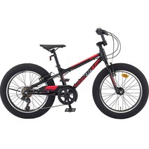 스마트 자전거 팻엠엑스 20, 150cm, 블랙