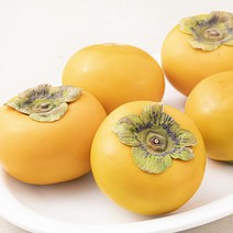 다조은 GAP 인증 창원 부유 줄단감 5개입, 1개, 1kg(M)