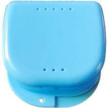 다르니나 프리미엄 틀니 보관함 블루, 1개입, 1개