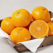 다조은 강서시장 새벽경매 제주천혜향, 1개, 2.8kg(13~15입)