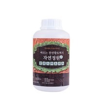 자연정원 황토 페인트 1L, 골드