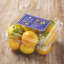 중문농협 황금빛 당도선별 감귤, 800g(2S~M), 1팩