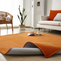 휴고하우스 깔끔한 비비드 컬러 물세탁 가능 모노 카페트