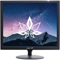 뷰라이프 43.18 cm CCTV AV 모니터, AV-17