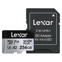 렉사 Professional Silver PLUS 마이크로SD 메모리카드, 256GB, 1개