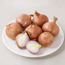 네덜란드산 샬롯, 200g, 1팩