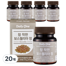 데일리원 참 착한 보스웰리아정 영양제, 20개, 15g