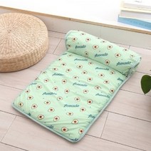 파스텔펫 프루츠 패턴 폭신 반려견 쿨매트, 그린