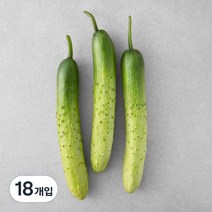 국내산 백오이, 3개입, 6개